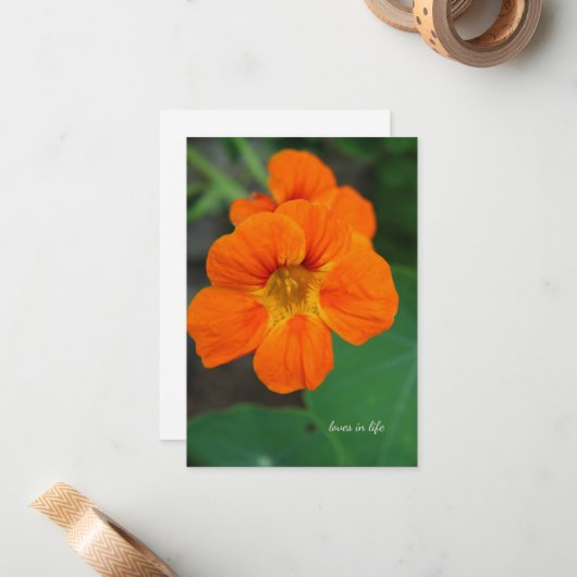 Nasturtium Mitteilungskarte (Vorderseite/Rückseite Beispiel)