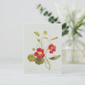 Nasturtium Postkarte (Stehend Vorderseite)