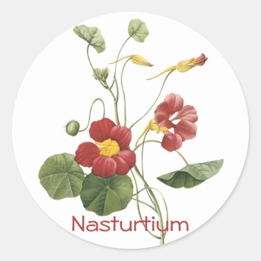 Nasturtium Runder Aufkleber (Vorderseite)