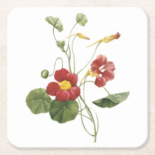 nasturtium(Tropaeolum majus) von Redouté Rechteckiger Pappuntersetzer