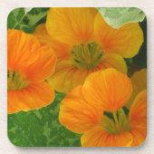 Nasturtium-Untersetzer Untersetzer (Vorderseite)