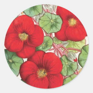 "Nasturtium" Vintage-Blumenillustration Runder Aufkleber