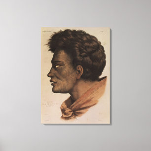 Natai, ein Maori- Leiter von der Brachsen-Bucht, Leinwanddruck