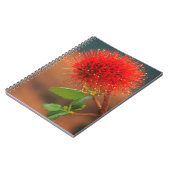 Natal Bottlebrush (Greyia Sutherlandii) Blume Notizblock (Linke Seite)