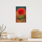 Natal Bottlebrush (Greyia Sutherlandii) Flower Poster (Küche)