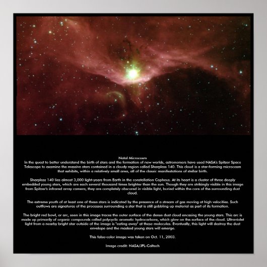 Natalmikrokosmos Poster (Vorne)