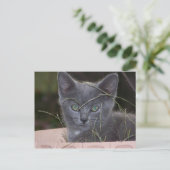 Natasha Hiding Postkarte (Stehend Vorderseite)