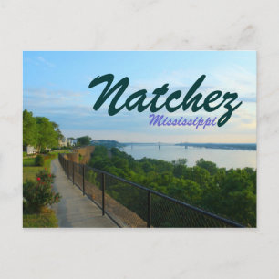 Natchez Mississippi River Bluffs Great Flood 2011 Postkarte