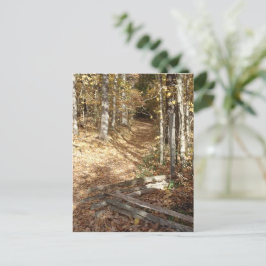 Natchez-Pfad im Herbst Postkarte (Stehend Vorderseite)