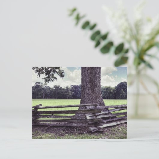 Natchez Split Eisenbahnzaun Postkarte (Stehend Vorderseite)