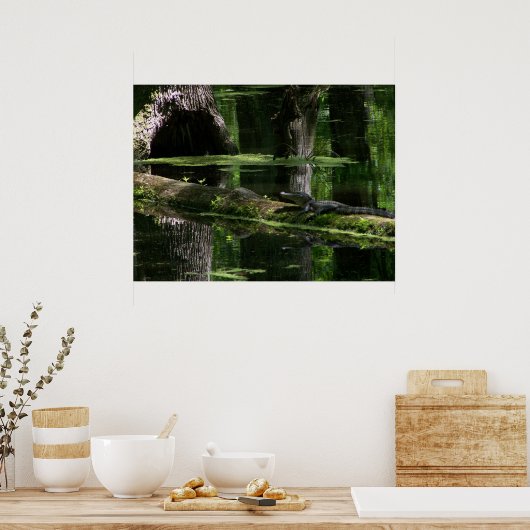 Natchez Trace Gator (1) Poster (Küche)