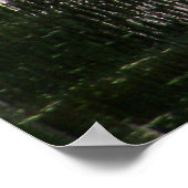 Natchez Trace Gator (1) Poster (Ecke)