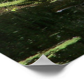 Natchez Trace Gator (3) Poster (Ecke)