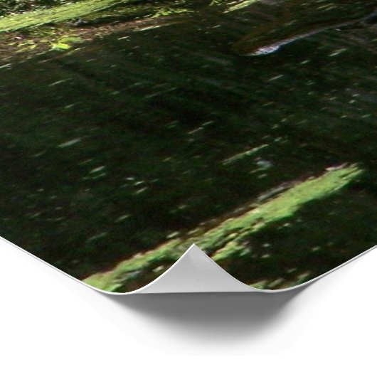 Natchez Trace Gator (3) Poster (Ecke)