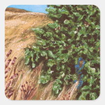 Nathanael und der Abeigenbaum