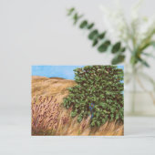 Nathanael und die Feigenbaum-Postkarte Postkarte (Stehend Vorderseite)