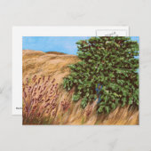 Nathanael und die Feigenbaum-Postkarte Postkarte (Vorne/Hinten)