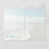 Natica Jewel Box Kitten's Paw Seashells Postcard Postkarte (Rückseite)