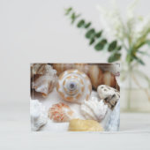 Natica Jewel Box Kitten's Paw Seashells Postcard Postkarte (Stehend Vorderseite)