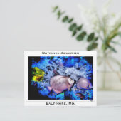 National Aquarium, Baltimore, Md. Postkarte (Stehend Vorderseite)