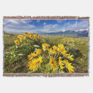 National Bison Range Decke