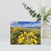 National Bison Range Postkarte (Stehend Vorderseite)