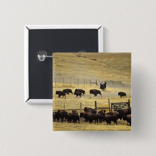National Bison Range Roundup in Montana Button (Vorne & Hinten)