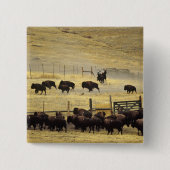 National Bison Range Roundup in Montana Button (Vorderseite)