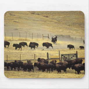 National Bison Range Roundup in Montana Mousepad