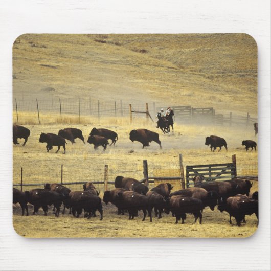 National Bison Range Roundup in Montana Mousepad (Vorne)