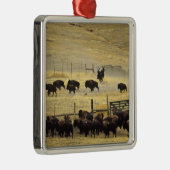 National Bison Range Roundup in Montana Silbernes Ornament (Rechts)