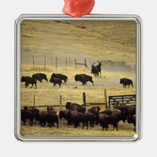 National Bison Range Roundup in Montana Silbernes Ornament
