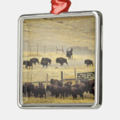 National Bison Range Roundup in Montana Silbernes Ornament (Links)