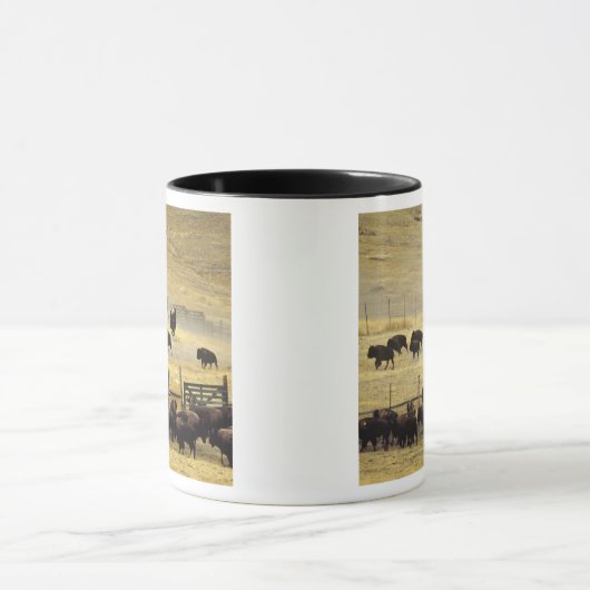 National Bison Range Roundup in Montana Tasse (Zentrum)