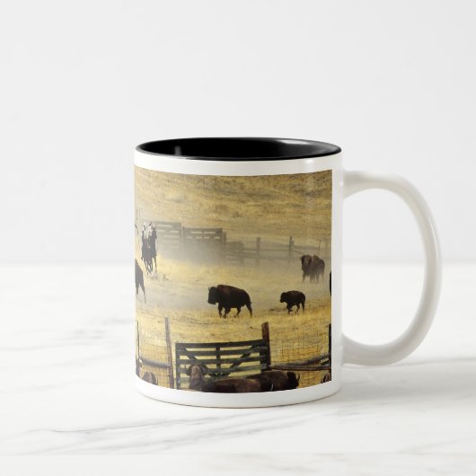National Bison Range Roundup in Montana Zweifarbige Tasse (Rechts)