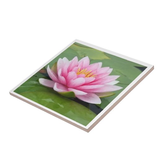 National Blume Keramik Tile Fliese (Seite)