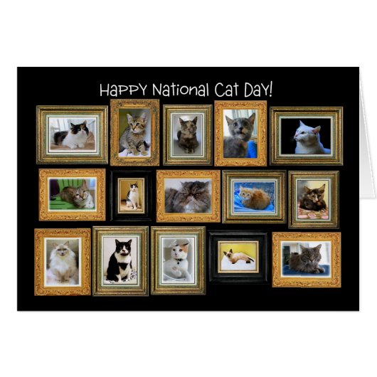 National Cat Day, Cat Portrait Gallery Card (Vorderseite (Horizontal))