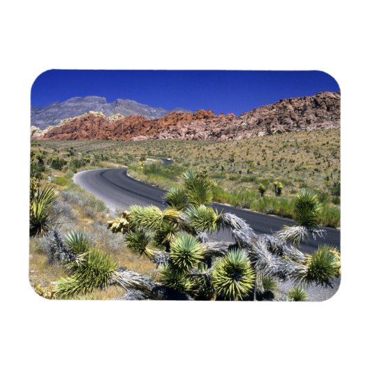 National Conservation Area, Las Rock Canyon Magnet (Horizontal)