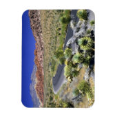 National Conservation Area, Las Rock Canyon Magnet (Vertikal)