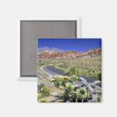 National Conservation Area, Las Rock Canyon Magnet (Vorderseite/Rückseite)