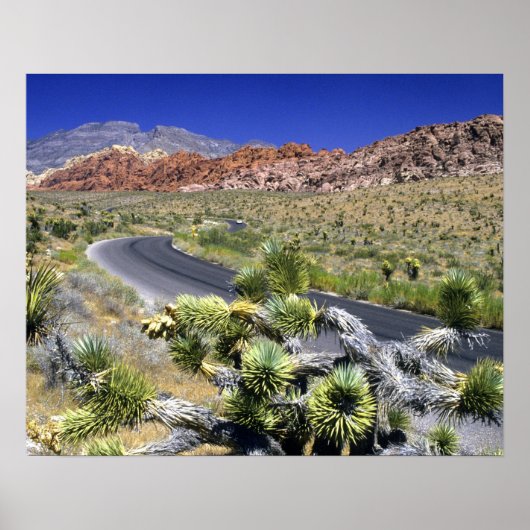 National Conservation Area, Las Rock Canyon Poster (Vorne)