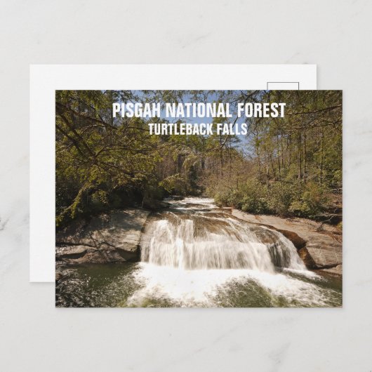 National Forest North Carolina Wasserfall Pisgah Postkarte (Vorne/Hinten)