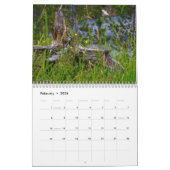 National Park Calendar Fotografie Kalender (Feb 2026)