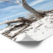 National Park Foto White Sands Zion Poster (Ecke)