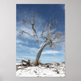 National Park Foto White Sands Zion Poster