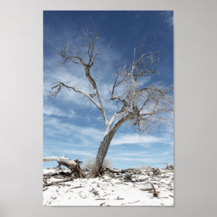 National Park Foto White Sands Zion Poster