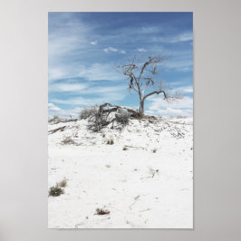 National Park Foto White Sands Zion Poster