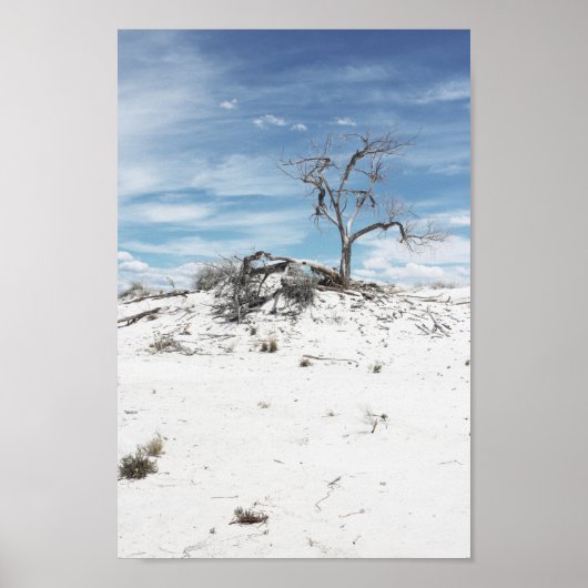 National Park Foto White Sands Zion Poster (Vorne)