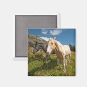 National Park North Cascades Magnet (Vorderseite/Rückseite)