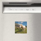 National Park North Cascades Magnet (In Situ (Geschirrspüler))